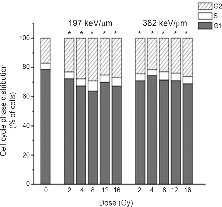 Cell cycle analysis of HTB140 cells estimated by flow cytometry, 48 h after irradiation with 12C ions of 197 and 382 keV/μm. Applied irradiation doses were from 2 to 16 Gy. The percentage of cells in G1, S and G2 phases was obtained with the FloMax software. Mean values obtained from three experiments are presented. *P<0.05; G2 phase at different irradiation doses compared to control.